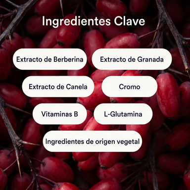 CravePatch™- Parches GLP1